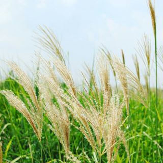 Profile Picture of 그리다별 (@&) on Facebook