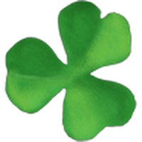 Profile Picture of David Naccarato (@david-naccarato-3) on Quora