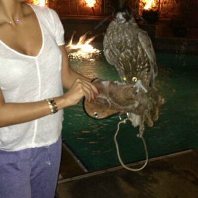 Profile Picture of $ham$a AlMansouri (@shamy007) on Twitter