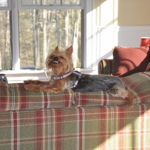 Profile Picture of Deedee Caudill (@taydeedee) on Myspace