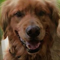 Profile Picture of Stephanie Tinker-kinney (@stephanie-tinker-kinney) on Quora