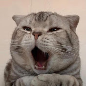 Profile Picture of Khanh Tran (@KhanhTran-yd7fb) on Youtube