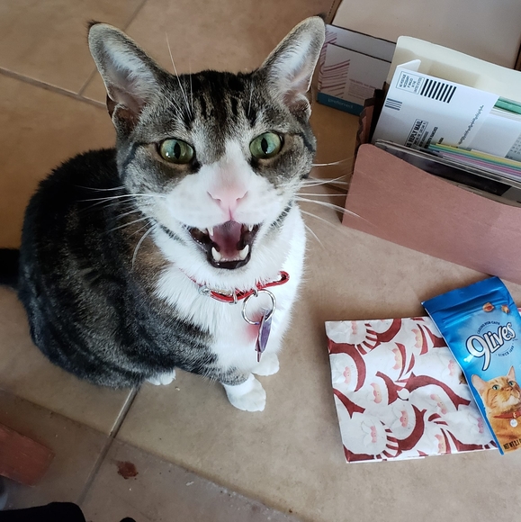 Profile Picture of Susan Maccoy (@smaccoy) on Poshmark