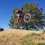 Profile Picture of Tony howell (@antonio_howell_) on Instagram