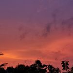 Profile Picture of Stephen Vinesh (@stephenvinesh) on Instagram