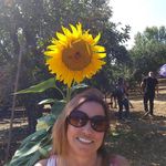 Joyce Faust Vassar - Instagram Profile Picture of Joyce Faust Vassar (@joyvefvsssar) on Instagram