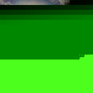 Profile Picture of Dallin Anderson (@anderdal002) on Myspace