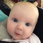 Profile Picture of Chad Rickman (@bcknox1) on Instagram