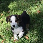 Profile Picture of SilasCooper (@silascooper1234) on Instagram