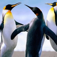 Profile Picture of Stephen Yuan (@stephen-yuan-7) on Quora