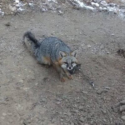 Profile Picture of Lucas Tyler Mcintyre (@Lucastrapper93) on Twitter