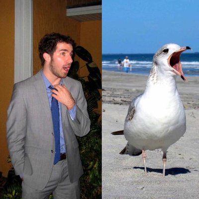 Profile Picture of Anthony DiBello (@anthony_dibello) on Twitter