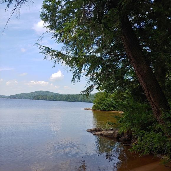 Profile Picture of Pete Meloling (@pmelo2) on Poshmark