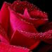 Profile Picture of Rose Pisso (@rose.pisso.3) on Facebook