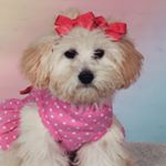 Profile Picture of Stella Neal (@nealstellaa) on Instagram