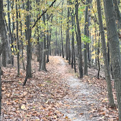 Profile Picture of Craig Qualley (@craigqualley2389) on Youtube