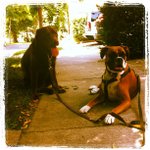 Profile Picture of Gloria Albrecht (@idasauer) on Instagram