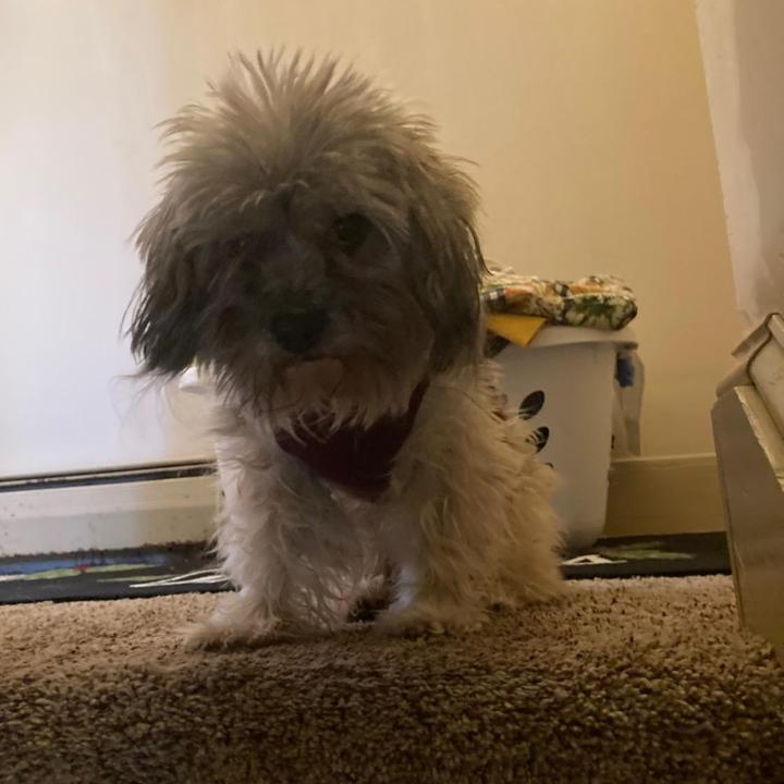 Profile Picture of user1780333350712 (@andymateos1) on Tiktok
