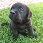 Profile Picture of Djinty_kindness_kooijmans (@djinty_kindness_kooijmans) on Instagram