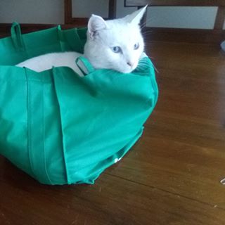 Profile Picture of Ruth Hendricks (@ruth.hendricks.90) on Facebook