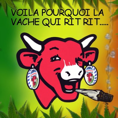 Profile Picture of Collard Marc (@marc_collard) on Twitter