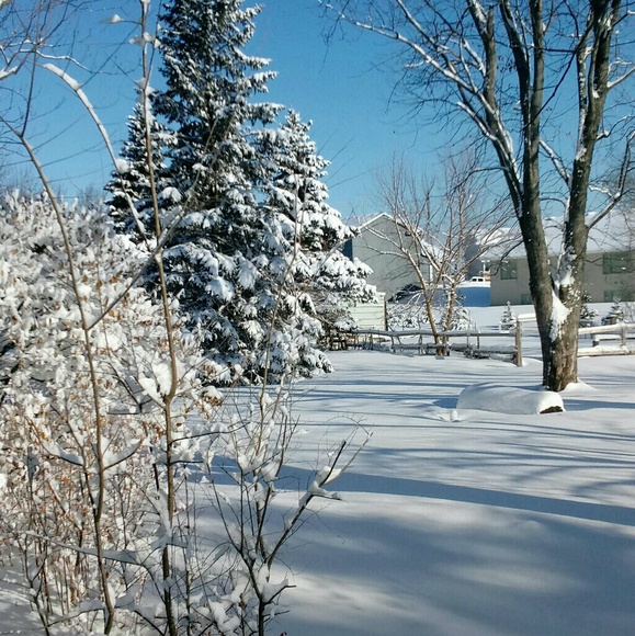 Profile Picture of Brian Ndege (@brian0469) on Poshmark