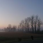 Profile Picture of Betty Perrone (@perronebetty) on Instagram