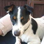 Profile Picture of Mark Sprockett Lane (@mark.sprockett.lane) on Instagram