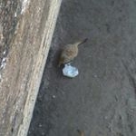 Profile Picture of Michelle schneider (@michelle.schneidef) on Instagram