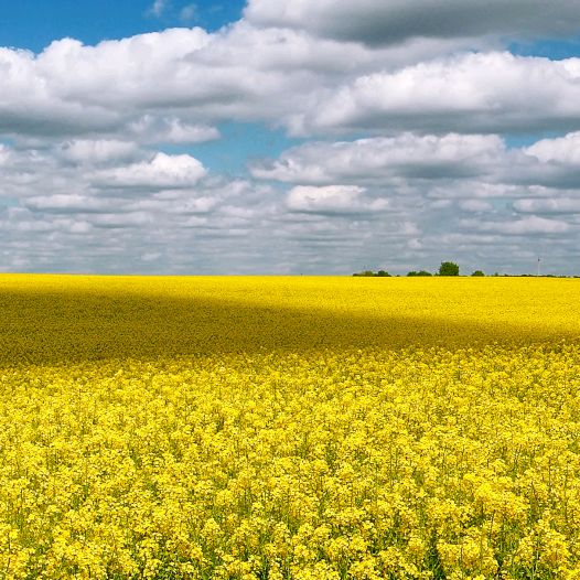 Profile Picture of Richard Quest (@richardquest2020) on Tiktok