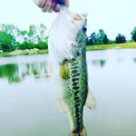 Caleb_bissette - Instagram Profile Picture of Caleb_bissette (@calebbissette) on Instagram