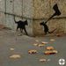 Profile Picture of Steve Bennett (@stevejbennett) on Pinterest
