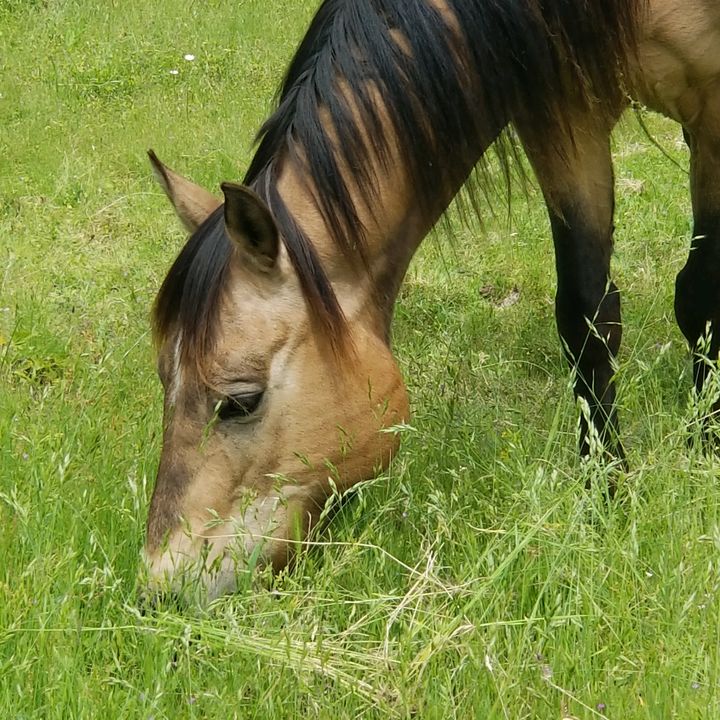 Profile Picture of MarianGilliland (@@mariankgilliland) on Tiktok