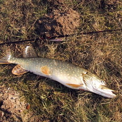 Profile Picture of James Hayman (@JamesHayman1) on Twitter