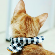 Profile Picture of 유자Uza (@uza8445) on Youtube