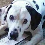 Brooke Caperton - Instagram Profile Picture of Brooke Caperton (@brooke_caperton) on Instagram