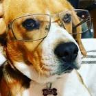 Profile Picture of   Thomas Bondeson... (@sb.euthomas) on Tiktok