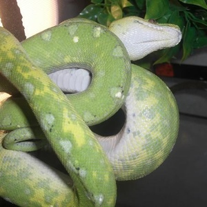 Javier San Juan - Myspace Profile Picture of Javier San Juan (@285597378) on Myspace