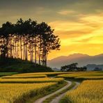 Perez Carl - Facebook Profile Picture of Perez Carl (@Perez-Carl) on Facebook