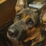 Profile Picture of Susanna Tofani (@susannatofani) on Instagram