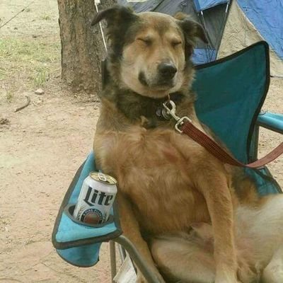 Profile Picture of Tom Kilroy (@KilroyTom) on Twitter