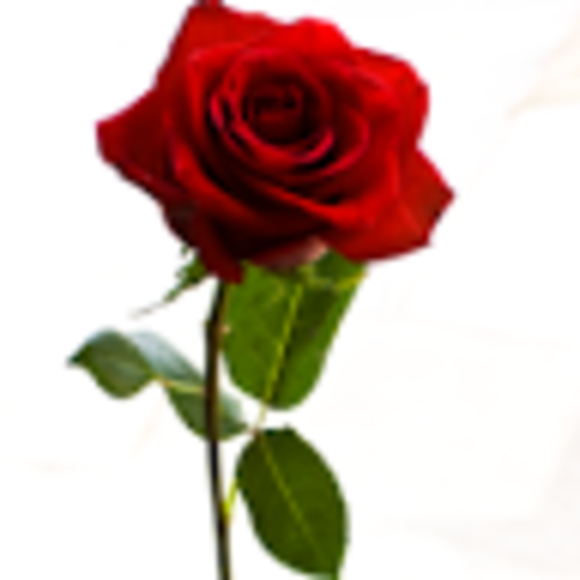 Zoe Becker - Poshmark Profile Picture of Zoe Becker (@zoelilabecker) on Poshmark