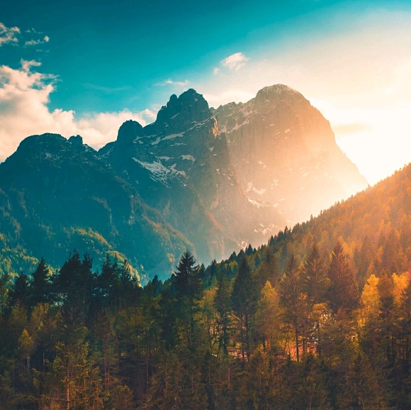 Profile Picture of Libby Coleman (@libbycoleman006) on Poshmark