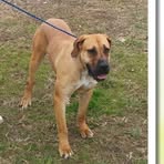 Profile Picture of Richard Petrides (@richard.reynolds.56232) on Facebook