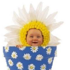 Σοφάκι Smariville - Twitter Profile Picture of Σοφάκι Smariville (@AlexMans2) on Twitter