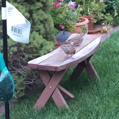 Profile Picture of N. Wayne Doerr (@nw_doerr) on Twitter