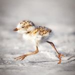 Profile Picture of Dawn Emmott (@dawnemmott) on Instagram