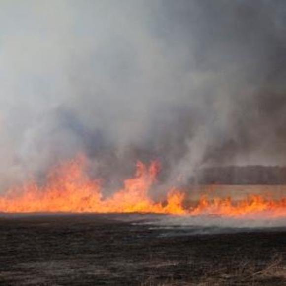 Profile Picture of Andre Grey (@andrexx) on Poshmark