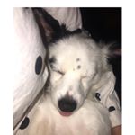 Profile Picture of Soy muy amigable❤️ (@max_gomez_01) on Instagram
