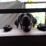 Joel Agan - Facebook Profile Picture of Joel Agan (@joel.agan.07) on Facebook